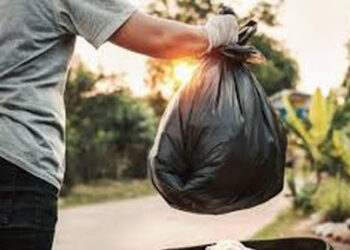 Funcionamiento del servicio de recolección de residuos domiciliarios los días 24 y 25