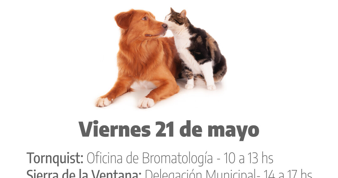 Comenzarán aplicarse vacunas antirrábicas en Tornquist y Sierra de la Ventana