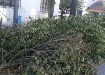 No habrá recolección de ramas y escombros esta semana