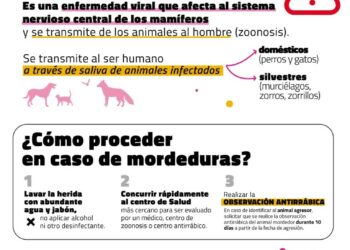 Recomendaciones para evitar posibles casos de rabia