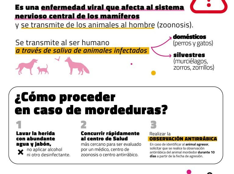 Recomendaciones para evitar posibles casos de rabia