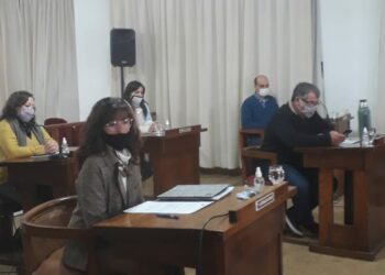 Informe de la última sesión extraordinaria del HCD