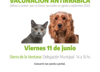 Sierra de la Ventana: vacunación antirrábica para felinos y caninos