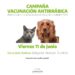 Sierra de la Ventana: vacunación antirrábica para felinos y caninos