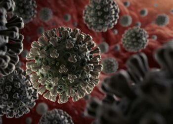 COVID-19: Confirmaron 26 nuevos casos positivos