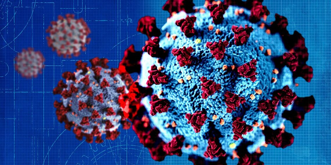 COVID-19: Se confirmaron 25 casos positivos