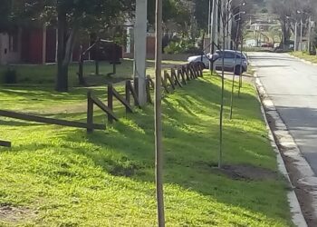 Comenzó la forestación de la calle Ernesto Tornquist de Sierra de la Ventana