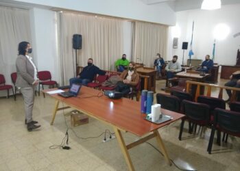 Huella de carbono: La ingeniera González disertó en el HCD