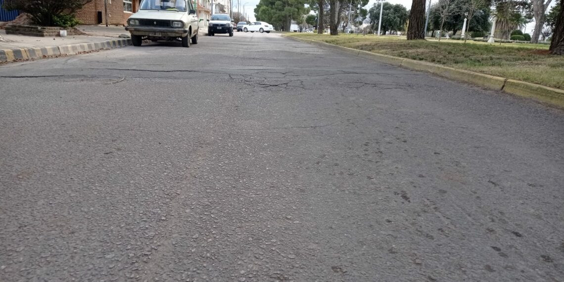 El ejecutivo solicitó al Honorable Concejo Deliberante que se expida sobre la intervención del arbolado público