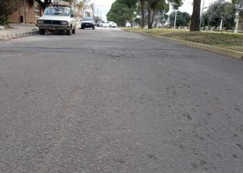 El ejecutivo solicitó al Honorable Concejo Deliberante que se expida sobre la intervención del arbolado público