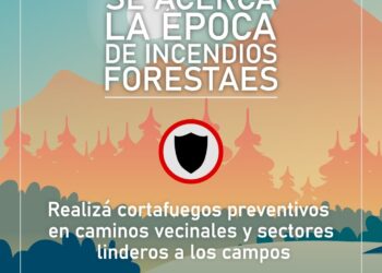 Prevención de incendios: recuerdan la importancia de realizar cortafuegos