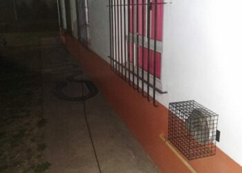 El Consejo Escolar y los trabajos realizados durante el mes de junio