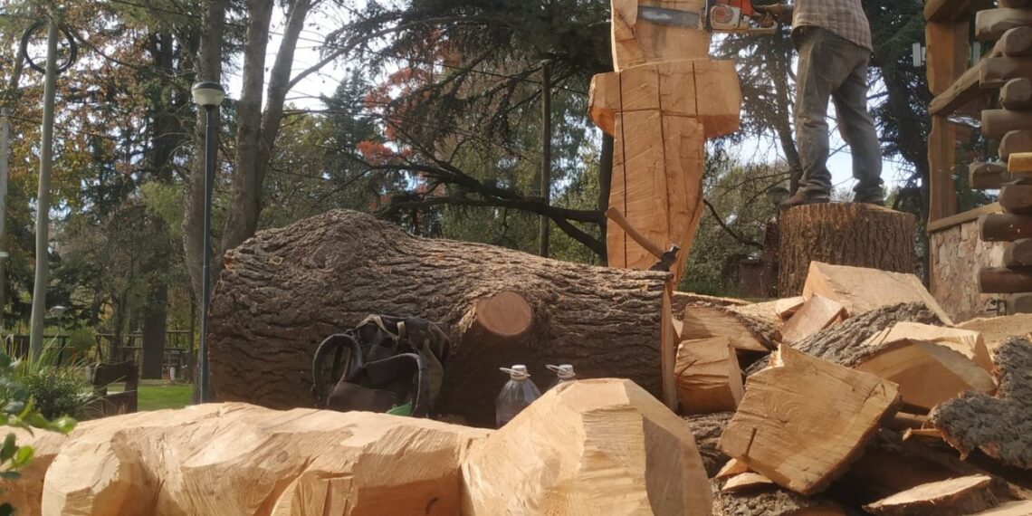 Un árbol caído fue transformado en dos nuevas esculturas en Sierra de la Ventana