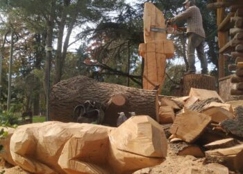 Un árbol caído fue transformado en dos nuevas esculturas en Sierra de la Ventana