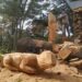 Un árbol caído fue transformado en dos nuevas esculturas en Sierra de la Ventana