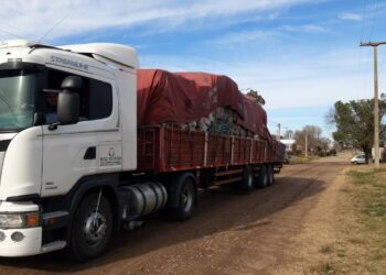 Ambiente: 24.000 kilos de materiales reciclables volvieron al circuito productivo