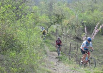 Actividades del CEF N° 9 para las vacaciones de invierno (Video)