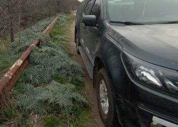 “Según la autopsia el Sr. Conti murió por ahogamiento”