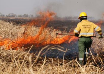 Bomberos Voluntarios del cuartel de Tornquist viajan a combatir los incendios en el Delta del Paraná (Video)