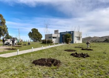El municipio avanza con la forestación en las localidades del distrito