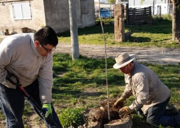 El municipio continúa con la plantación de nuevos árboles en el distrito