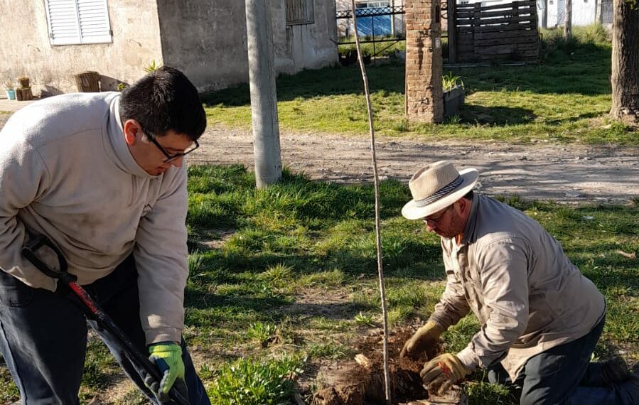 El municipio continúa con la plantación de nuevos árboles en el distrito