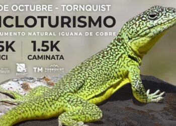 Este sábado llega una nueva edición del cicloturismo “Monumento Natural Iguana de Cobre”