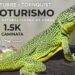 Este sábado llega una nueva edición del cicloturismo “Monumento Natural Iguana de Cobre”