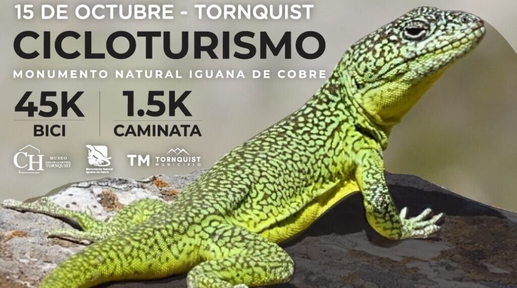 Tornquist 360, descubriendo en movimiento: Vuelve una nueva edición del Cicloturismo ‘Monumento Natural Iguana de Cobre’ (Video)