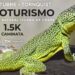Tornquist 360, descubriendo en movimiento: Vuelve una nueva edición del Cicloturismo ‘Monumento Natural Iguana de Cobre’ (Video)