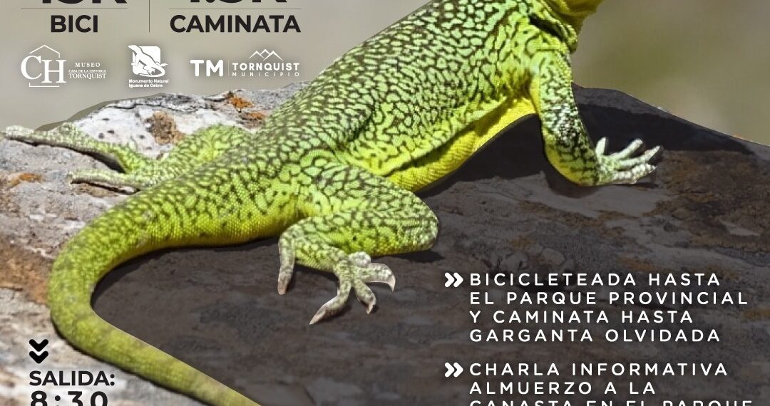 Se viene el segundo cicloturismo “Monumento Natural Iguana de Cobre”