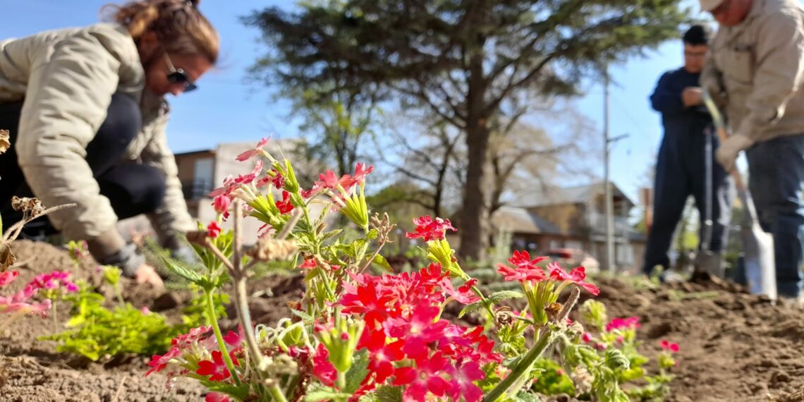 Más de un centenar de nuevos ejemplares fueron colocados entre Sierra de la Ventana y Saldungaray