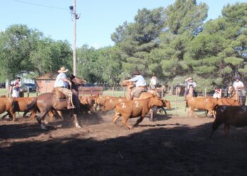 Más de 20 equipos participan de una nueva jornada de Aparte Campero