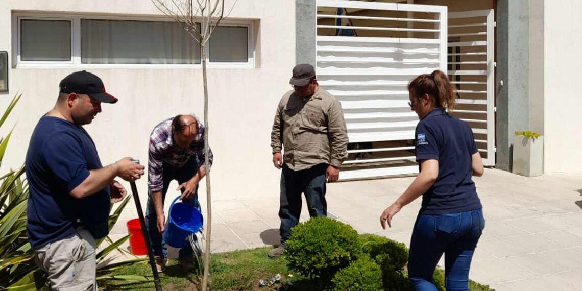 El municipio avanza con la forestación, reforestación y reposición de plantas en el distrito