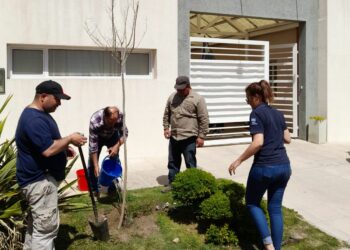 El municipio avanza con la forestación, reforestación y reposición de plantas en el distrito