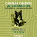 El jueves 3 habrá una jornada gratuita de vacunación antirrábica y desparasitación en Tornquist