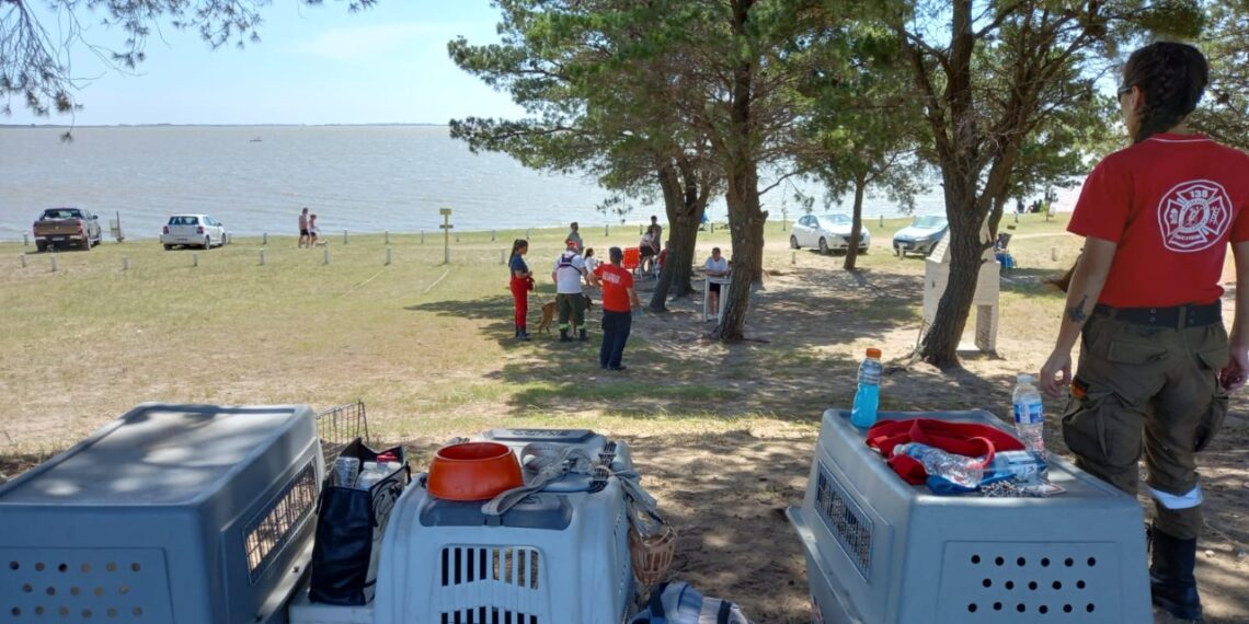 Bomberos Voluntarios de Tornquist, participaron del “Ejercicio de Brigadas Federativas”