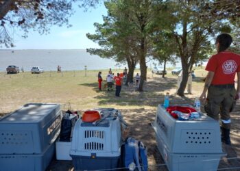 Bomberos Voluntarios de Tornquist, participaron del “Ejercicio de Brigadas Federativas”