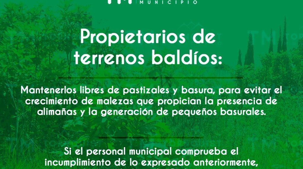 Solicitan mantener los terrenos baldíos libres de pastizales y basura