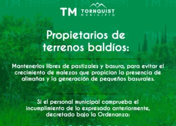 Solicitan mantener los terrenos baldíos libres de pastizales y basura