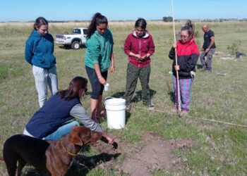 Junto al municipio, alumnas del CNSL plantaron especies nativas en uno de los accesos a Tornquist