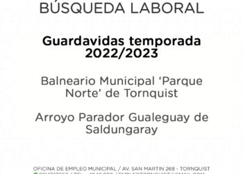 Búsqueda de guardavidas