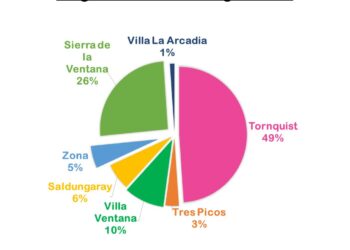 Informe estadístico de 2022 sobre situaciones de Violencia por Razones de Género en el distrito
