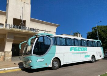 Desde mañana funcionará el servicio diferenciado de transporte