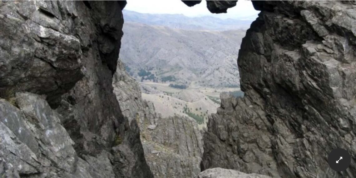 El Municipio refuerza el transporte público en la Comarca (Nota con Sergio Bordoni)