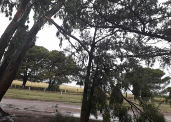 Permanecerá cerrado el Parque Lineal preventivamente