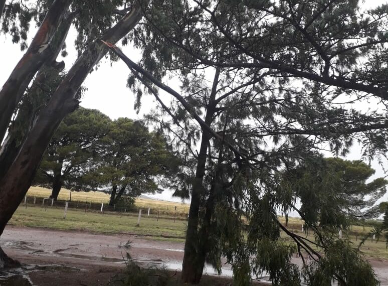 Permanecerá cerrado el Parque Lineal preventivamente