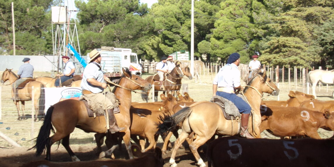 Importante jornada de aparte campero en la Asociación Rural de Tornquist (Video y fotos)