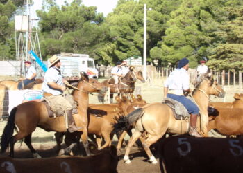 Importante jornada de aparte campero en la Asociación Rural de Tornquist (Video y fotos)