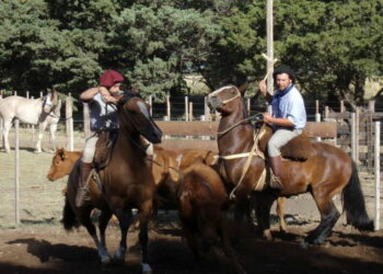 Resultados del aparte campero de Tornquist que ortorga puntos para Palermo 2023